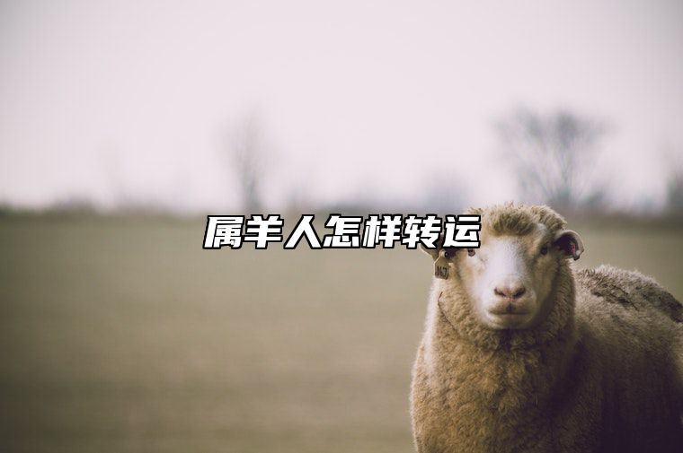 属羊人怎样转运 属羊的人要怎么样才会转运