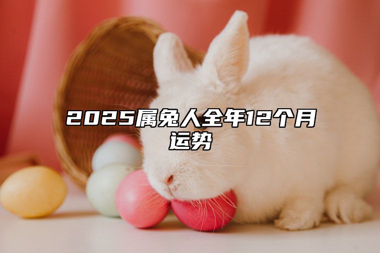 2025属兔人全年12个月运势 2025年属兔百年难遇