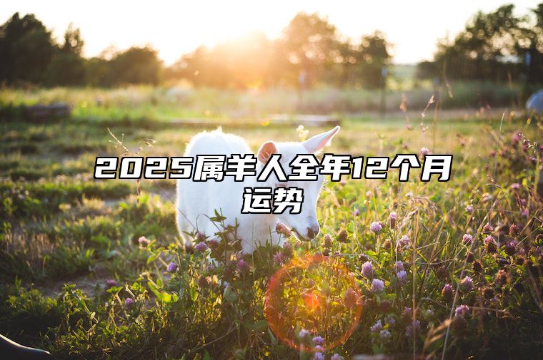 2025属羊人全年12个月运势 属羊人2025年全年运势详解