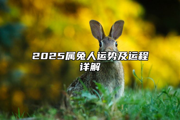 2025属兔人运势及运程详解 2025属兔人运势及运程详解视频