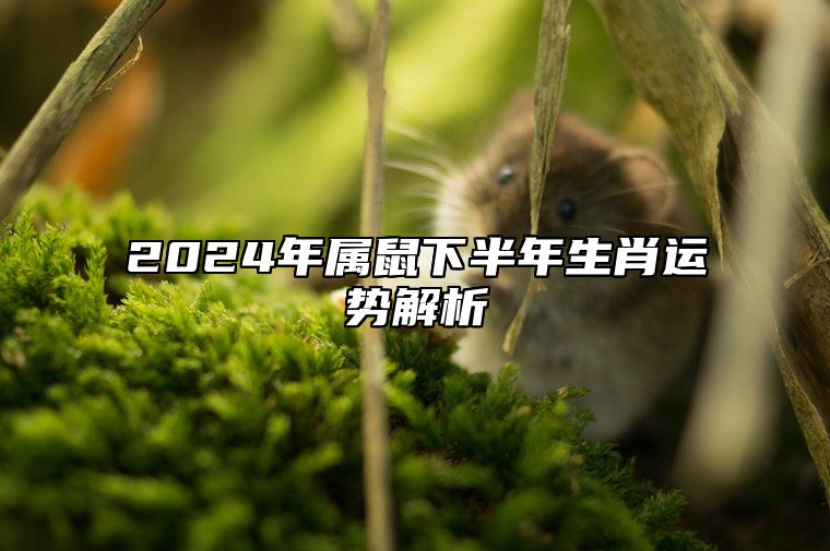 2024年属鼠下半年生肖运势解析