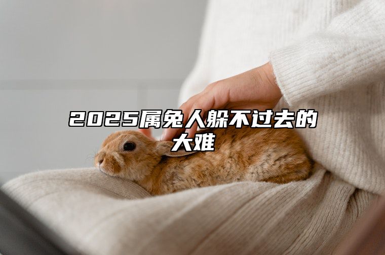 2025属兔人躲不过去的大难 2025属兔人的全年运势如何