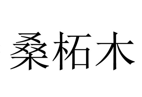 癸丑桑柘木是哪一年