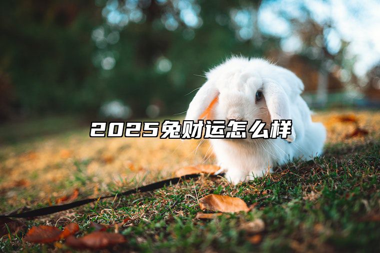 2025兔财运怎么样 2025年属兔人的全年运势