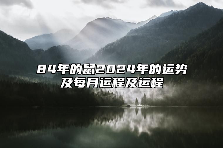 84年的鼠2024年的运势及每月运程及运程 84年的鼠2024年的运势及每月运程