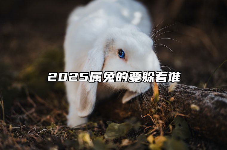 2025属兔的要躲着谁 属兔2025年