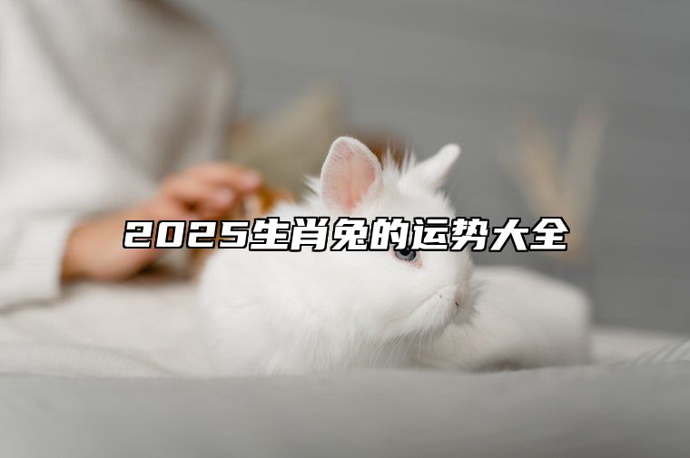 2025生肖兔的运势大全 2025年生肖兔