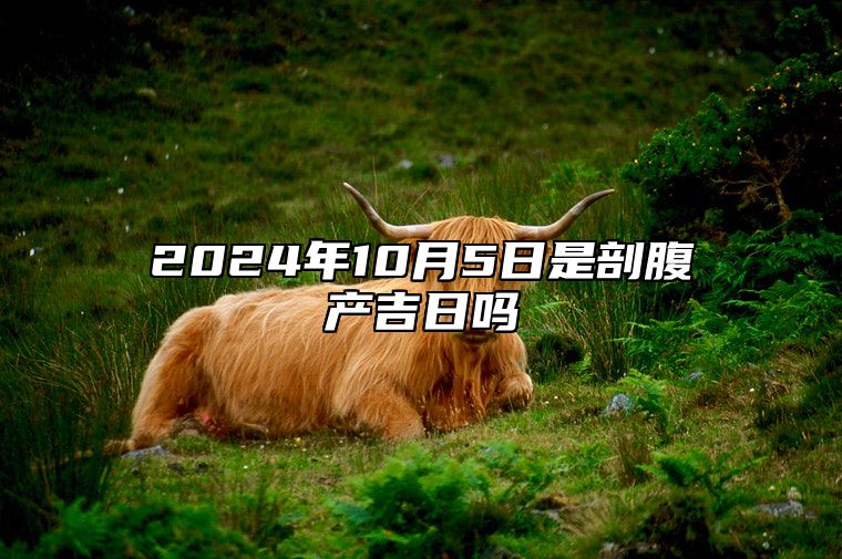 2024年10月5日是剖腹产吉日吗 适合的黄道吉日