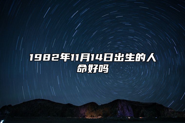 1982年11月14日出生的人命好吗 生辰八字、事业财运详解