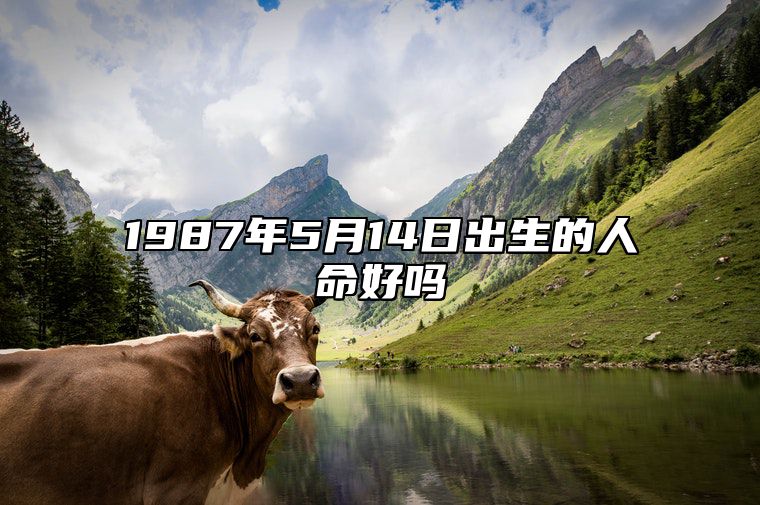 1987年5月14日出生的人命好吗 生辰八字分析五行缺什么