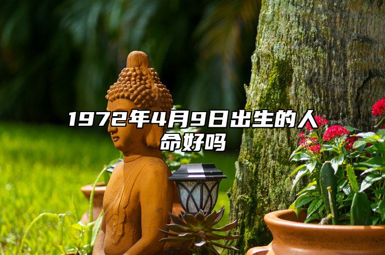 1972年4月9日出生的人命好吗 是什么命