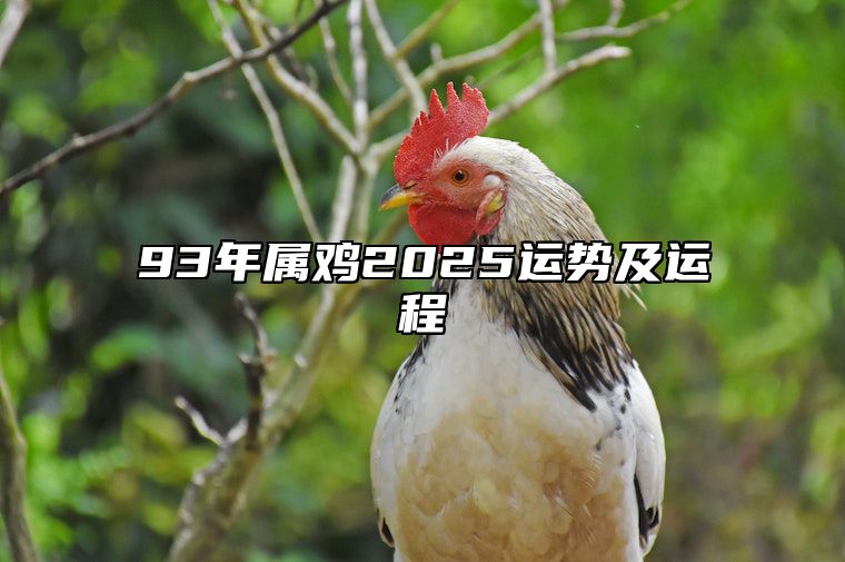 93年属鸡2025运势及运程 93年生肖鸡20230年运势