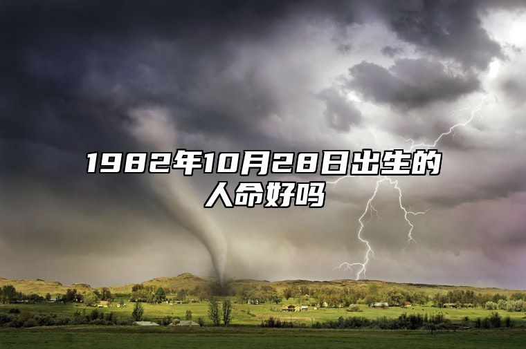 1982年10月28日出生的人命好吗 今日生辰八字运势详解