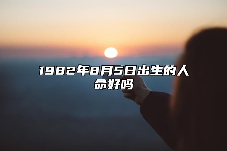 1982年8月5日出生的人命好吗 此日生辰八字如何