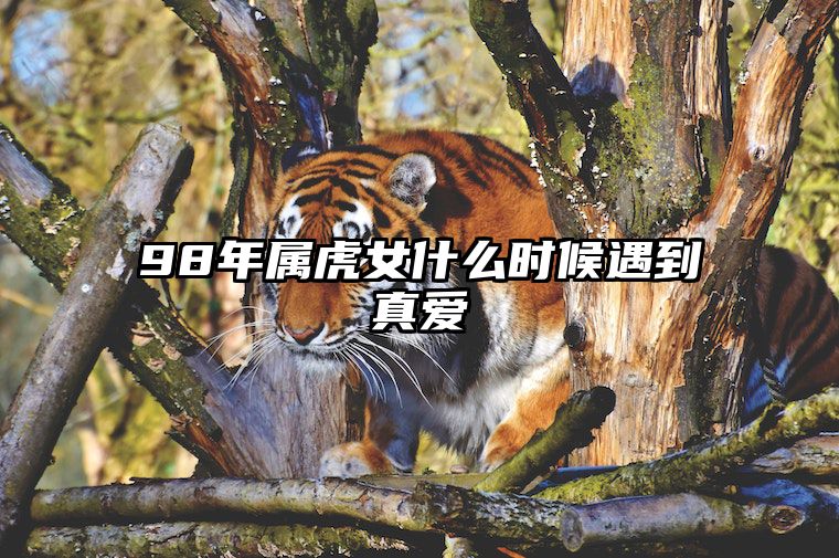 98年属虎女什么时候遇到真爱 1998年虎女什么时候遇到真爱