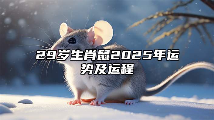 29岁生肖鼠2025年运势及运程