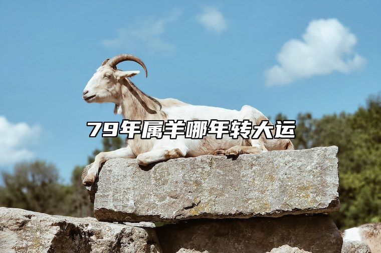 79年属羊哪年转大运 79年羊45岁后十年大运运程