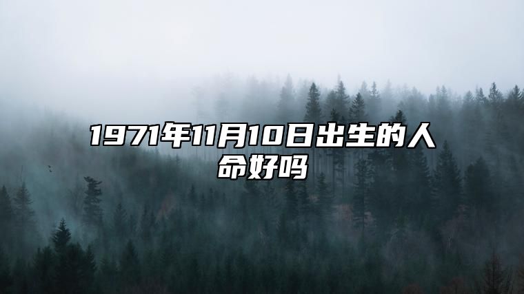 1971年11月10日出生的人命好吗 生辰八字解析