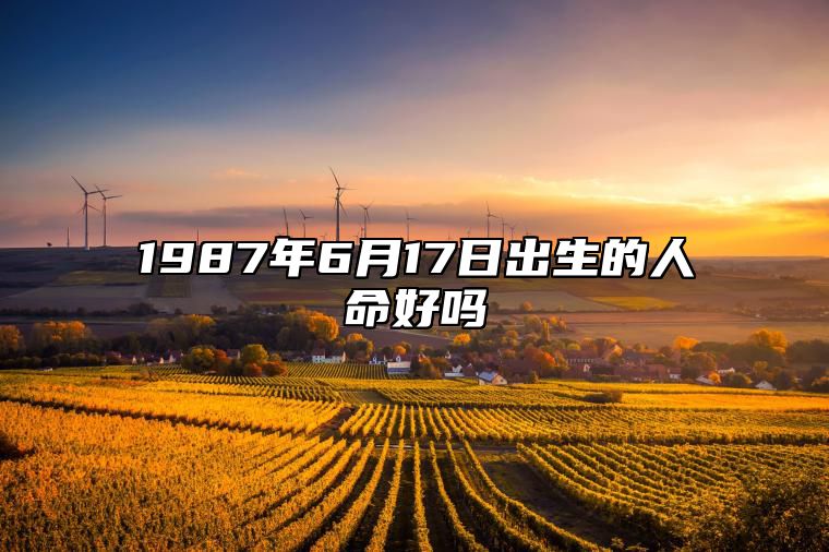 1987年6月17日出生的人命好吗 今日不同时辰生辰八字解析