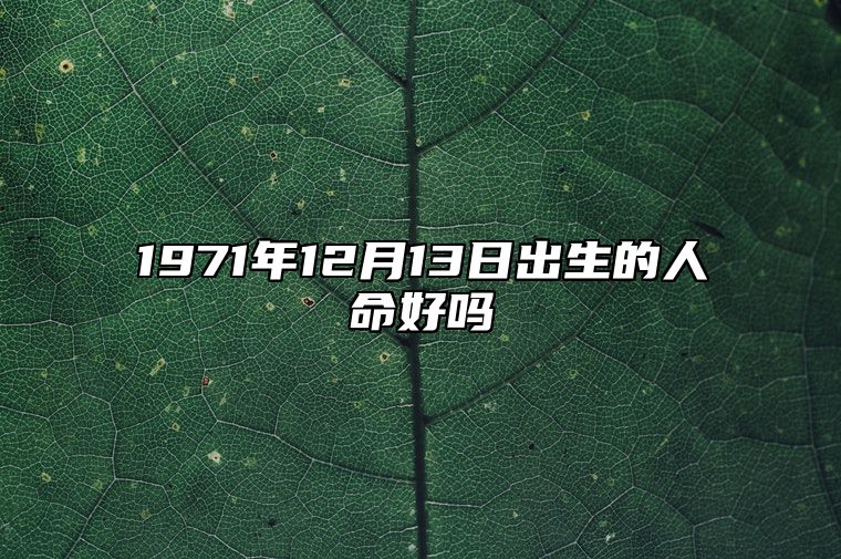 1971年12月13日出生的人命好吗 八字事业人生发展