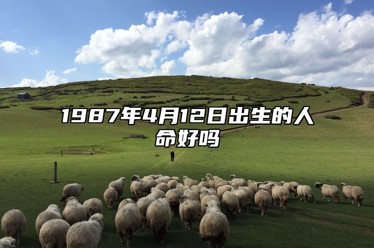 1987年4月12日出生的人命好吗 八字事业财运、感情婚姻