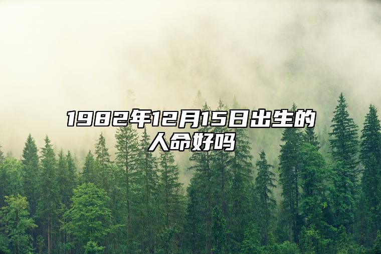 1982年12月15日出生的人命好吗 此日生辰八字如何