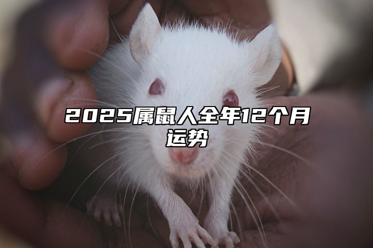 2025属鼠人全年12个月运势 2025年属鼠人运势