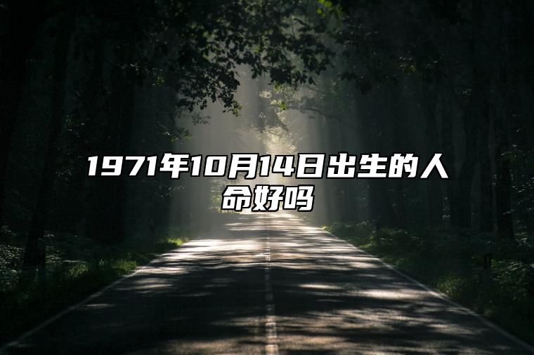 1971年10月14日出生的人命好吗 生辰八字、事业财运详解