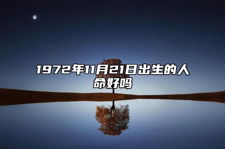 1972年11月21日出生的人命好吗 八字命运和运势走向