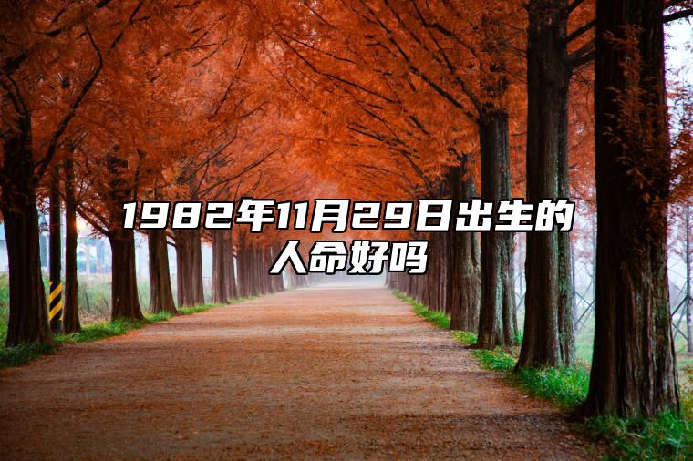 1982年11月29日出生的人命好吗 八字事业、感情婚姻、健康等运势详解