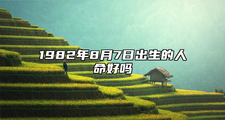 1982年8月7日出生的人命好吗 八字运势、婚姻、事业详解