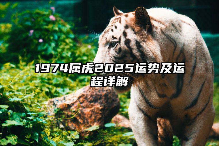 1974属虎2025运势及运程详解 1974属虎的202 0年大运