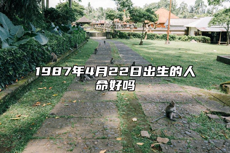 1987年4月22日出生的人命好吗 八字事业、感情婚姻、健康等运势详解