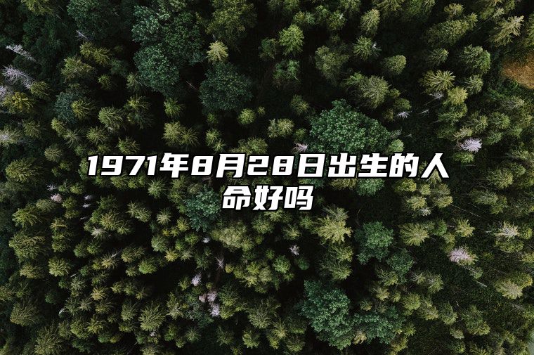 1971年8月28日出生的人命好吗 生辰八字、事业财运详解