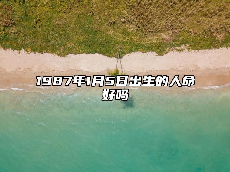 1987年1月5日出生的人命好吗 不同时辰八字运势详解