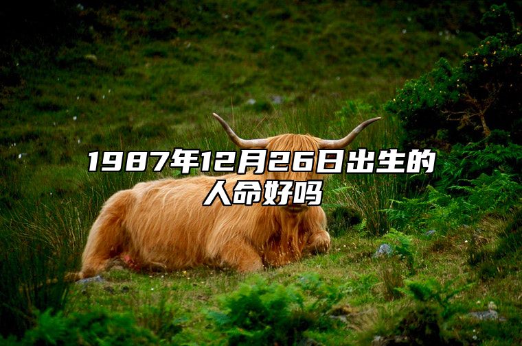 1987年12月26日出生的人命好吗 八字运势、婚姻、事业详解