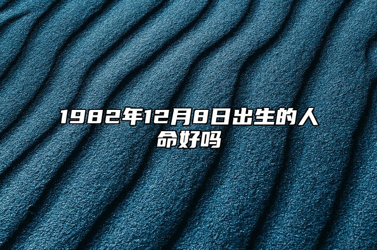 1982年12月8日出生的人命好吗 今日不同时辰生辰八字解析