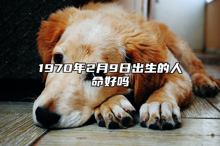 1970年2月9日出生的人命好吗 生辰八字、事业财运详解