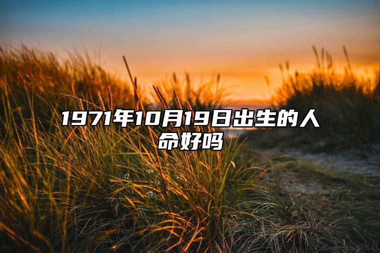 1971年10月19日出生的人命好吗 生辰八字、感情婚姻详解