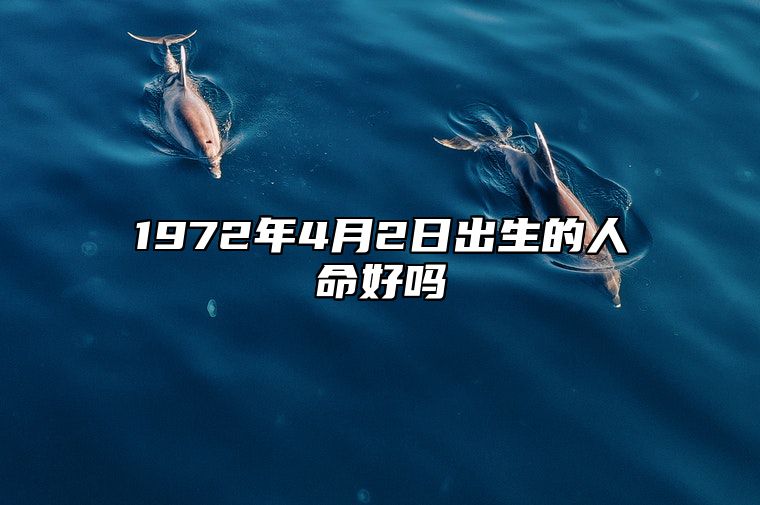 1972年4月2日出生的人命好吗 生辰八字解析