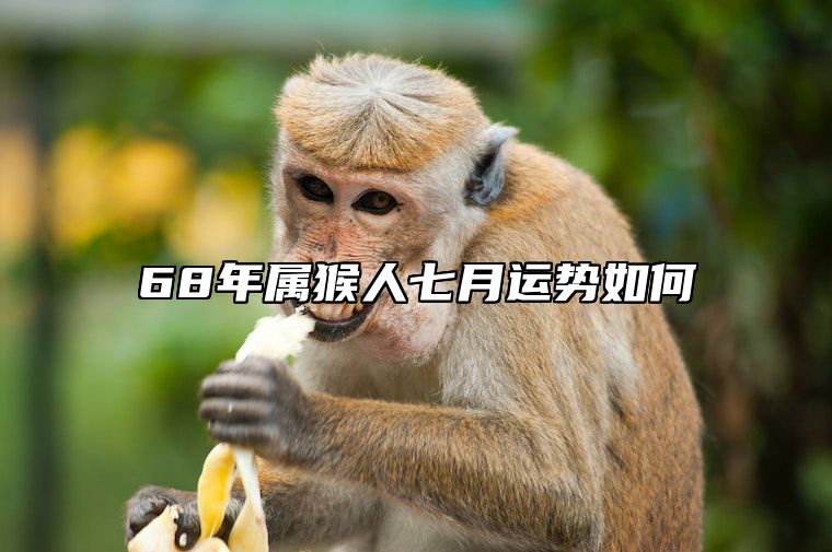 68年属猴人七月运势如何 68年属猴人七月运势如何样