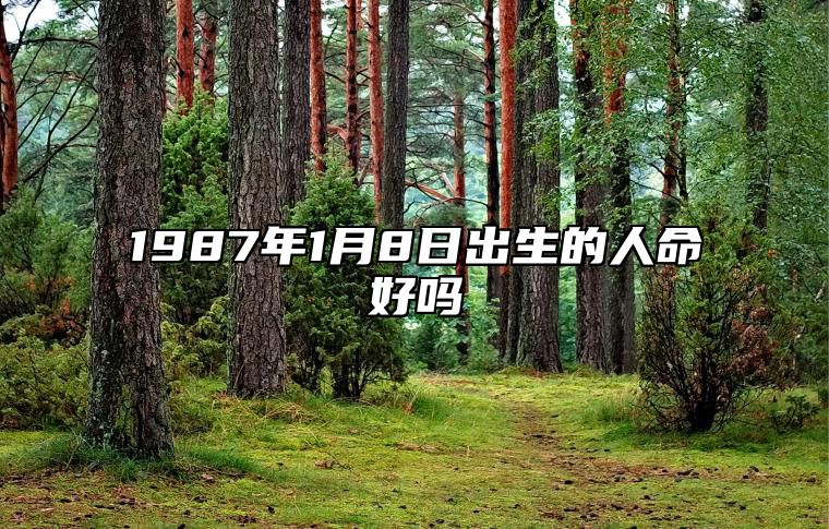 1987年1月8日出生的人命好吗 不同时辰八字运势详解