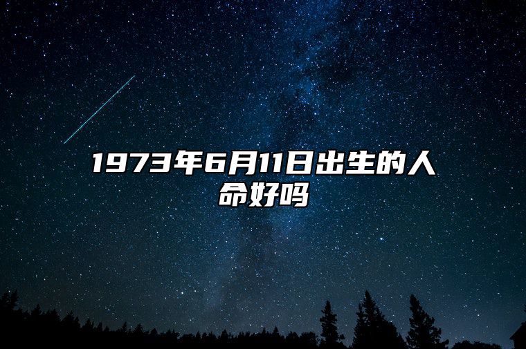 1973年6月11日出生的人命好吗 五行缺什么