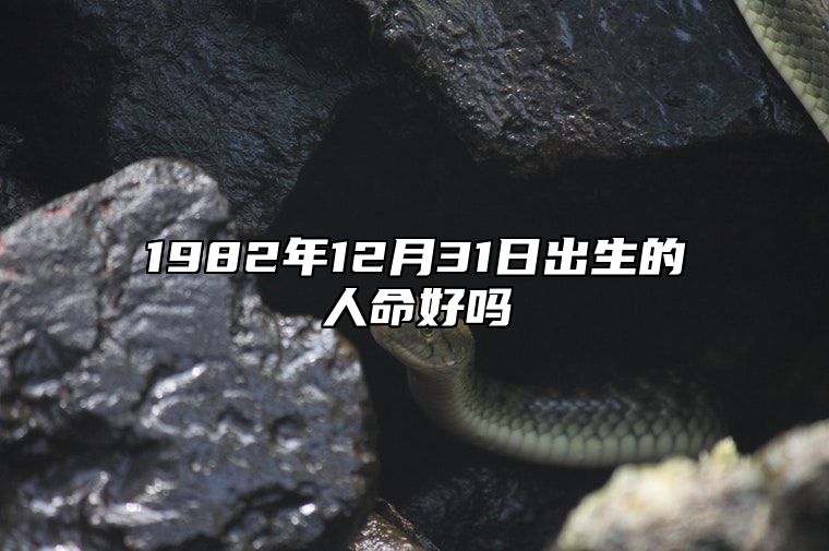 1982年12月31日出生的人命好吗 八字五行解析