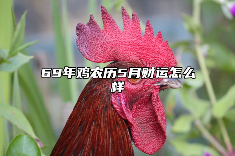 69年鸡农历5月财运怎么样 69年鸡5月出生命怎样