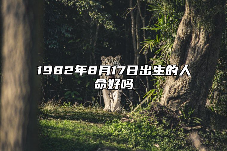 1982年8月17日出生的人命好吗 不同时辰八字分析