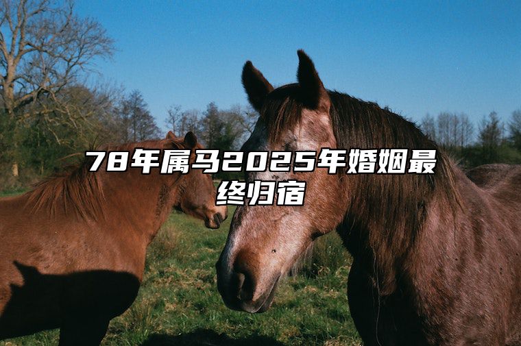 78年属马2025年婚姻最终归宿 78年属马的2025年怎么样