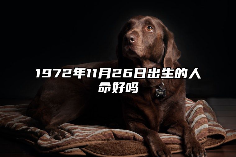 1972年11月26日出生的人命好吗 不同时辰八字运势详解