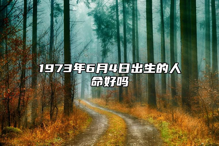 1973年6月4日出生的人命好吗 八字命运和运势走向