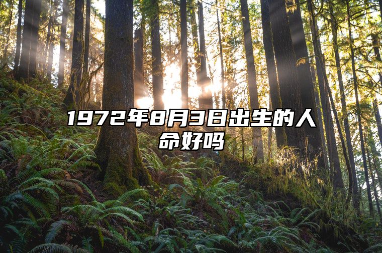 1972年8月3日出生的人命好吗 八字事业、感情婚姻、健康等运势详解